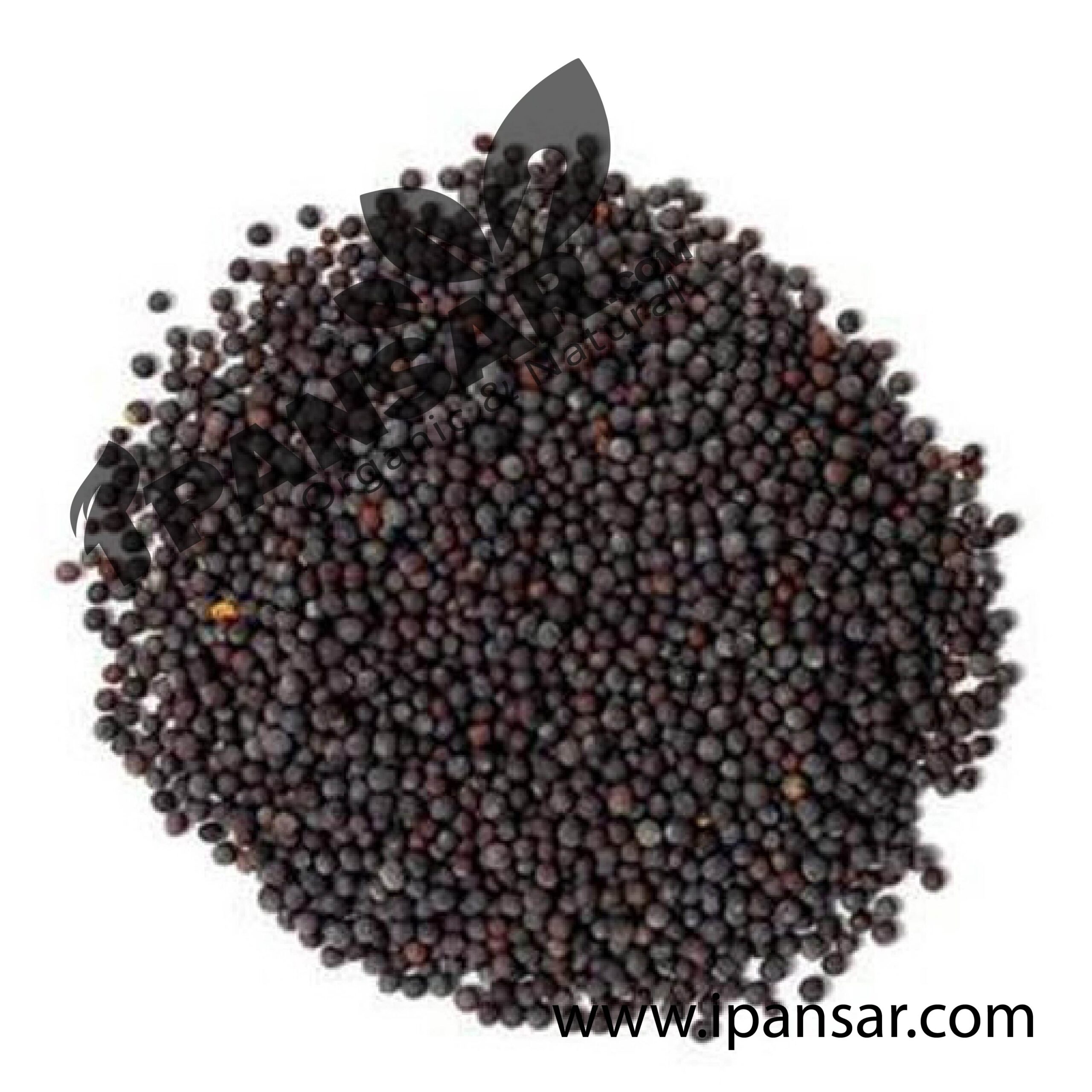 Organic Brown Mustard Seeds (Bhoori Rai Dana – بھوری رائی دانہ)