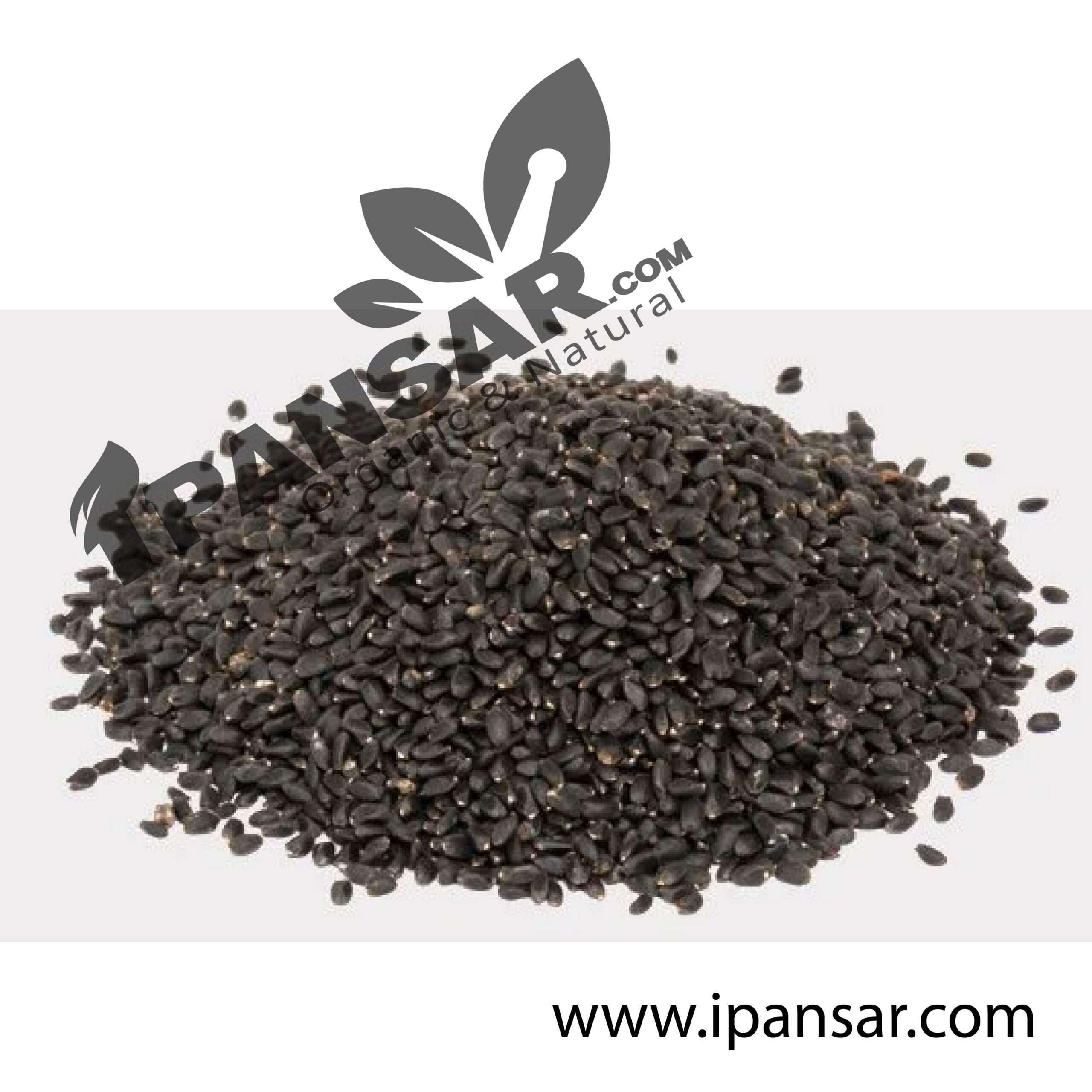 Organic Basil Seeds(Tukham Banalga) (تُلسی بیج) – Natural Detox Superfood