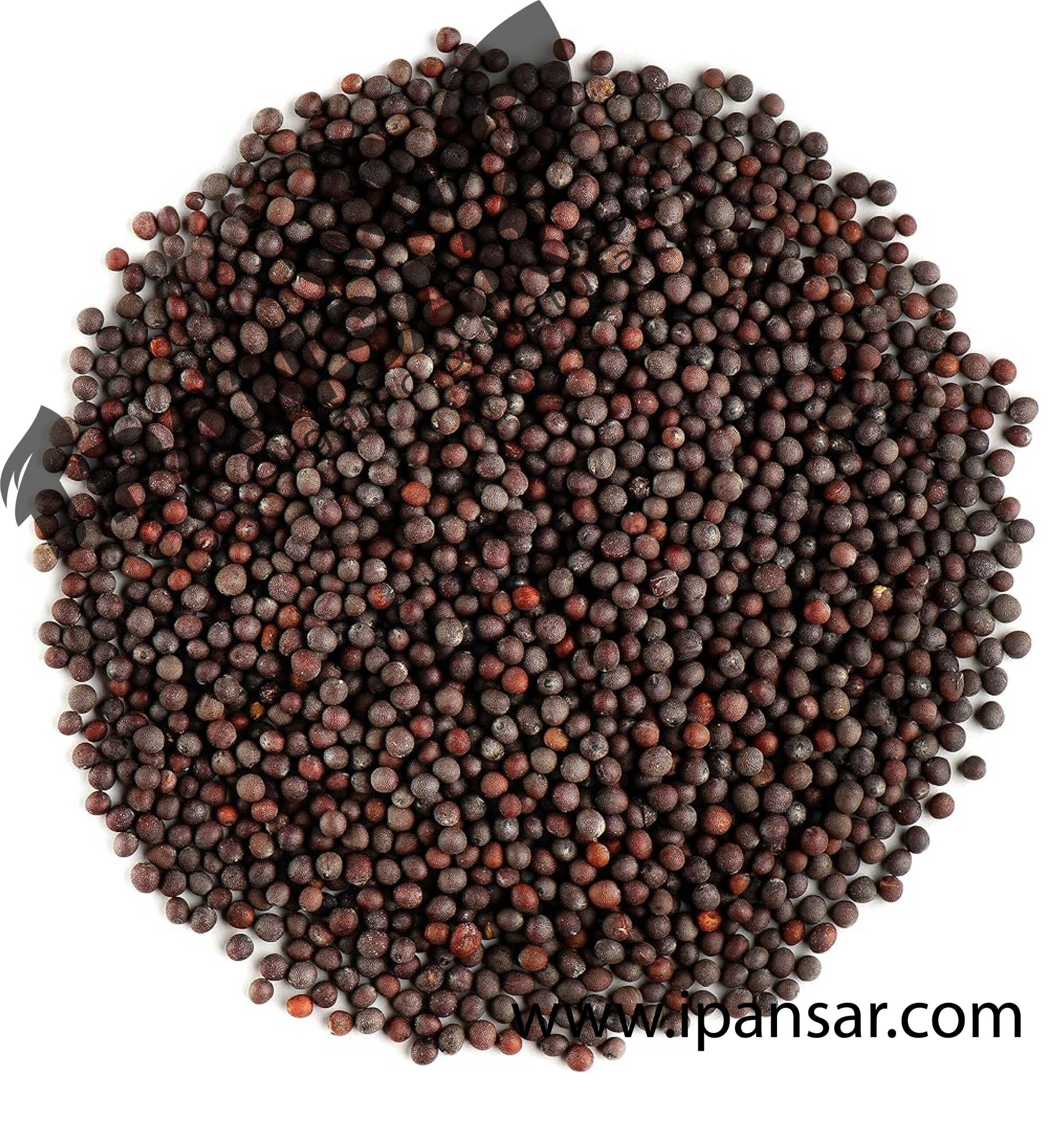 Organic Black Mustard Seeds (Rai Dana – رائی دانہ)-Kali Sarson