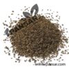 Organic Breckland Thyme (Wild Thyme – Jungli Ajwain – جنگلی اجوائن)