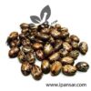 Organic Castor Seeds (Tukhm-e-Arandi – تخم ارنڈی)