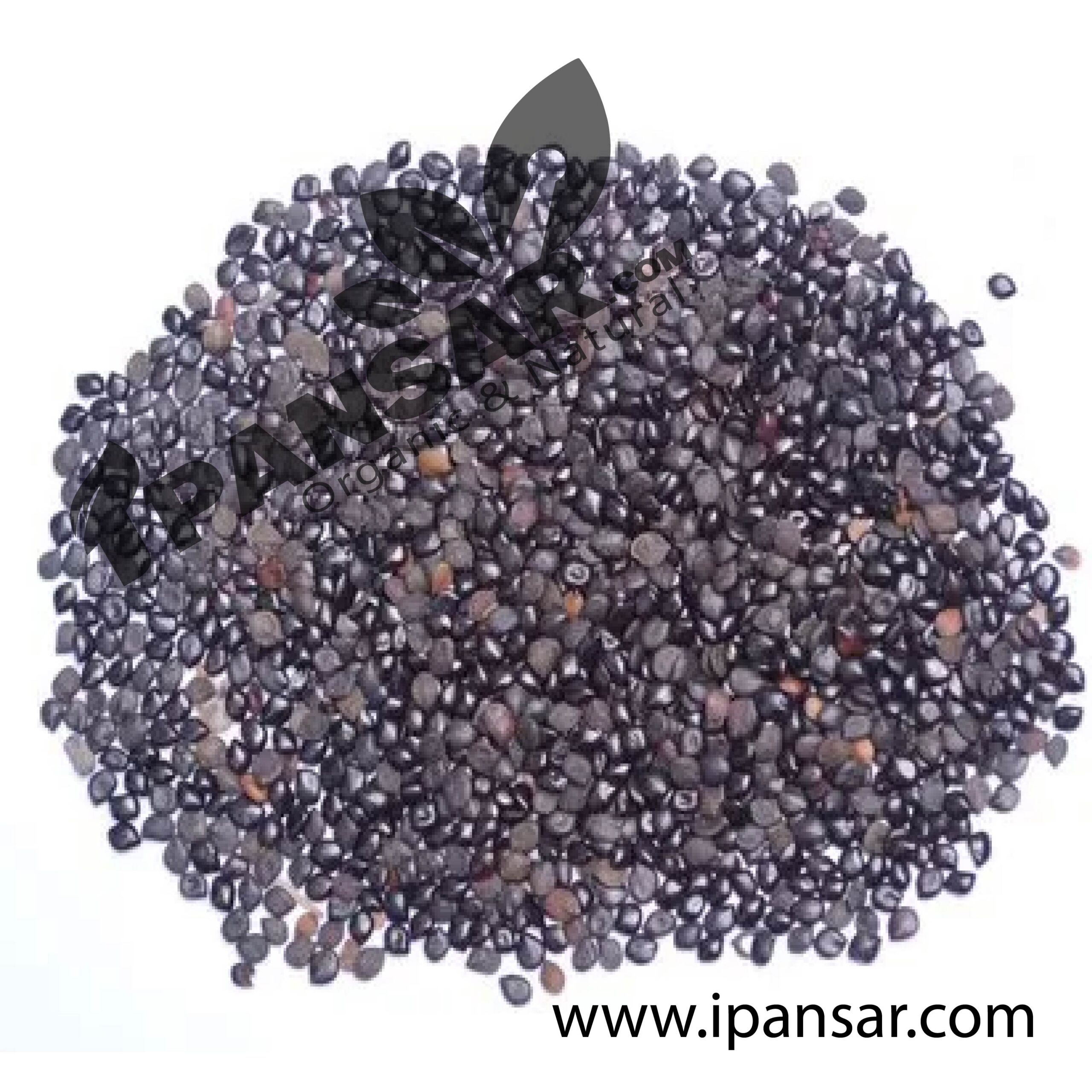 Organic Chaksu Seeds (Tukhm-e-Chaksu – تخم چکسو)