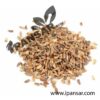 Organic Chicory Seeds (Tukhm-e-Kasni – تخم کاسنی)