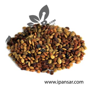 Organic Chinese Chaste Seeds (Vitex Seeds – Tukhm-e-Sambhalu – تخم سنبھالو)