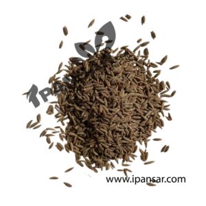 Premium Black Cumin Seeds (Kala Zeera – کالا زیرہ)